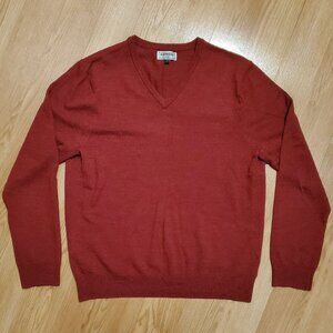 Express Men's V-Neck Merino Wool Sweater
